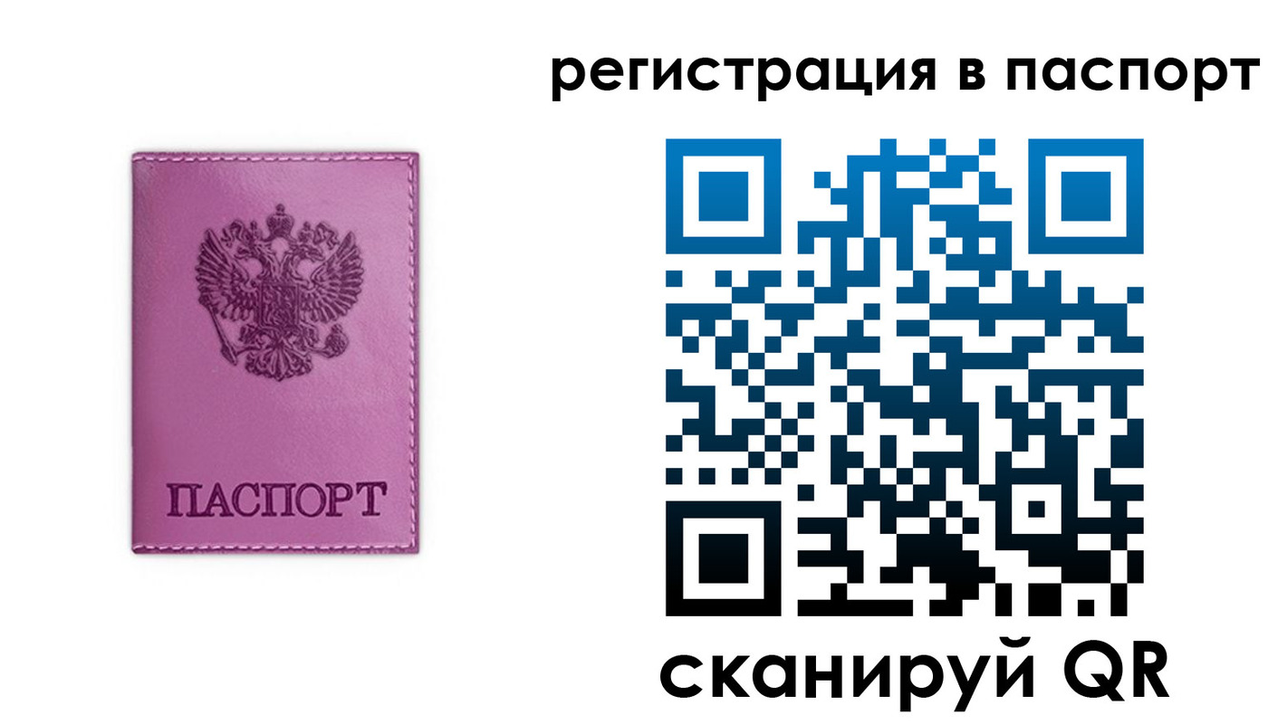 прописка 2025 в Зее